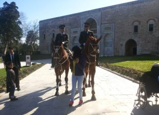 Laleli from the Ashes