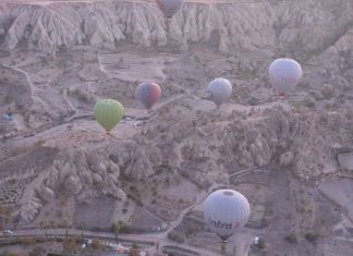 Unveiling the Potential of Vasilaki Grape