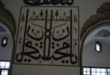 Didyma The Sacred Temple of Apollo