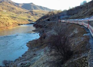 Introduction Windschacht